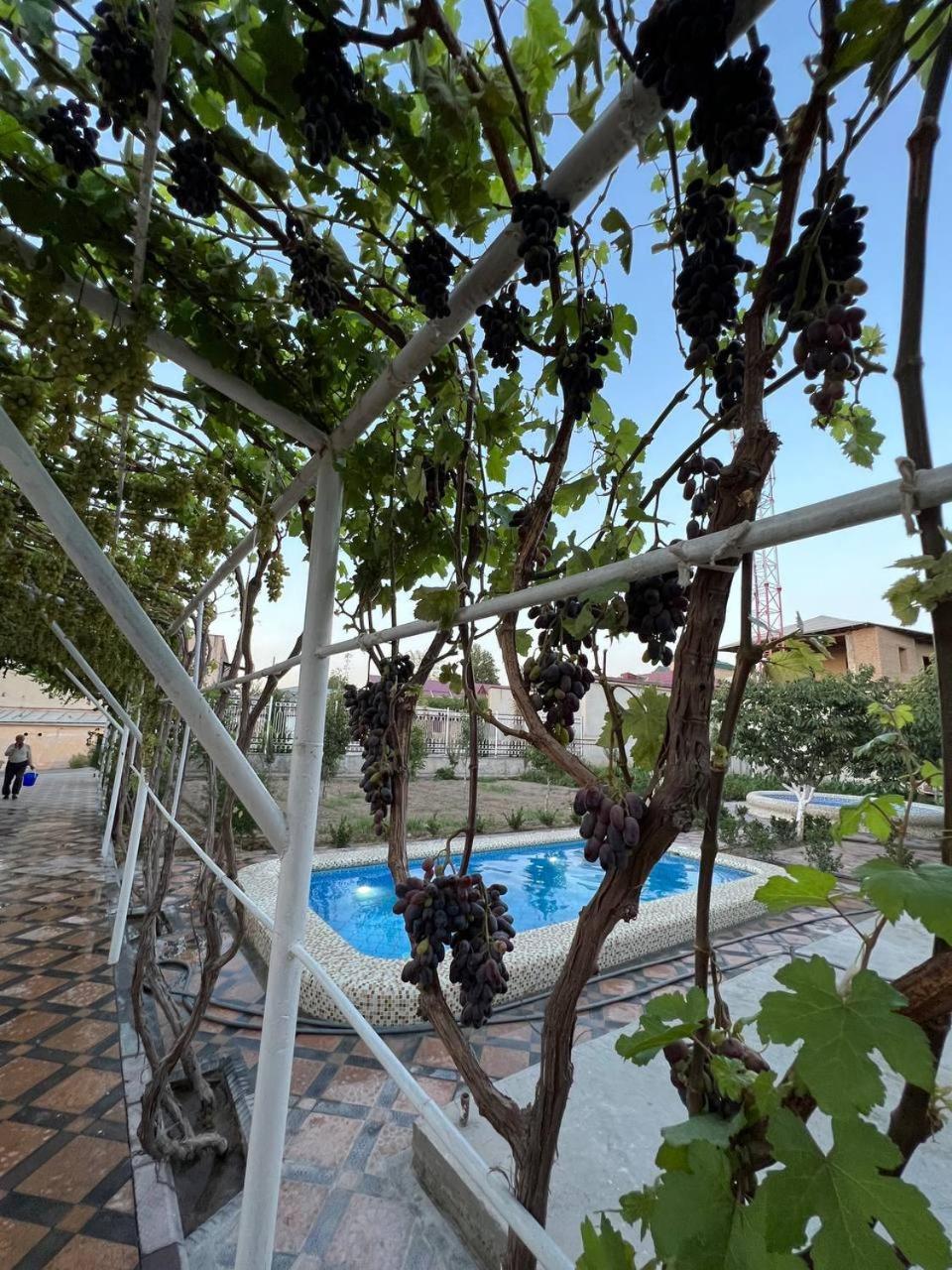 Samarabonu Hotel Samarkand Exterior photo